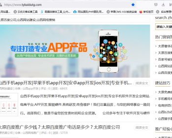 容易优化的ZBlog个人博客新闻资讯个人博客文件内包含2套模板