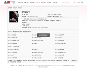 1923 小说自动采集+【深度seo优化】+自适应=小说网站源码