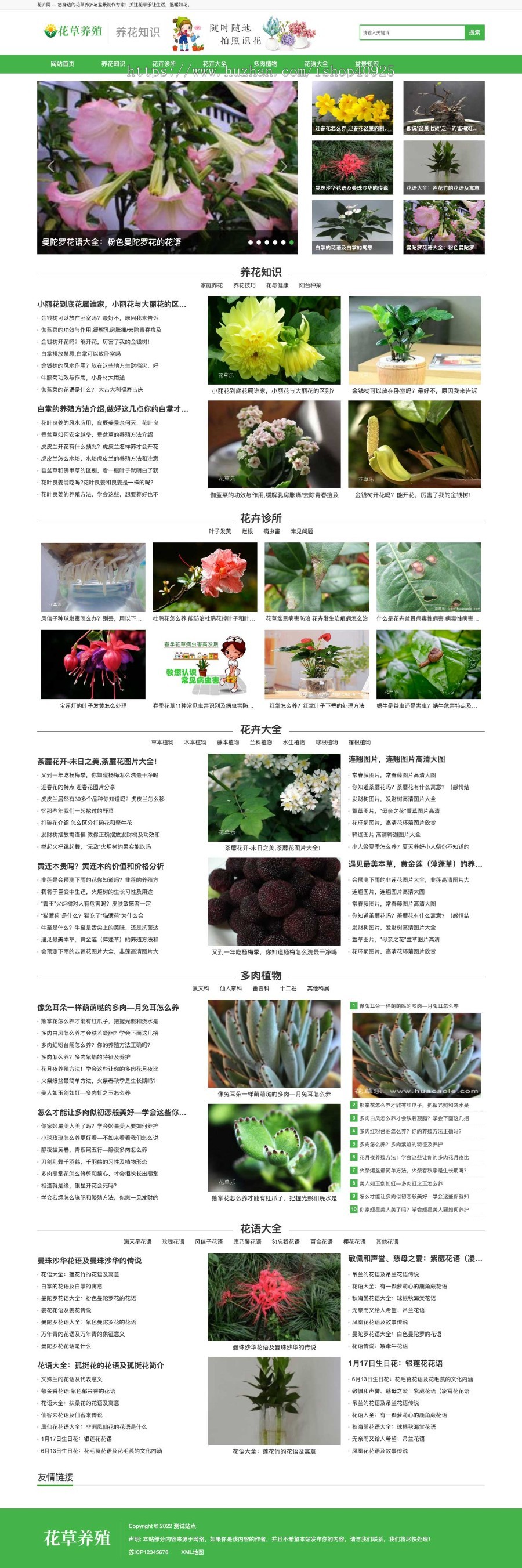 新闻资讯文章花草植物网站源码花卉养殖养花知识分享网站养殖技巧养殖知识植物资讯网站