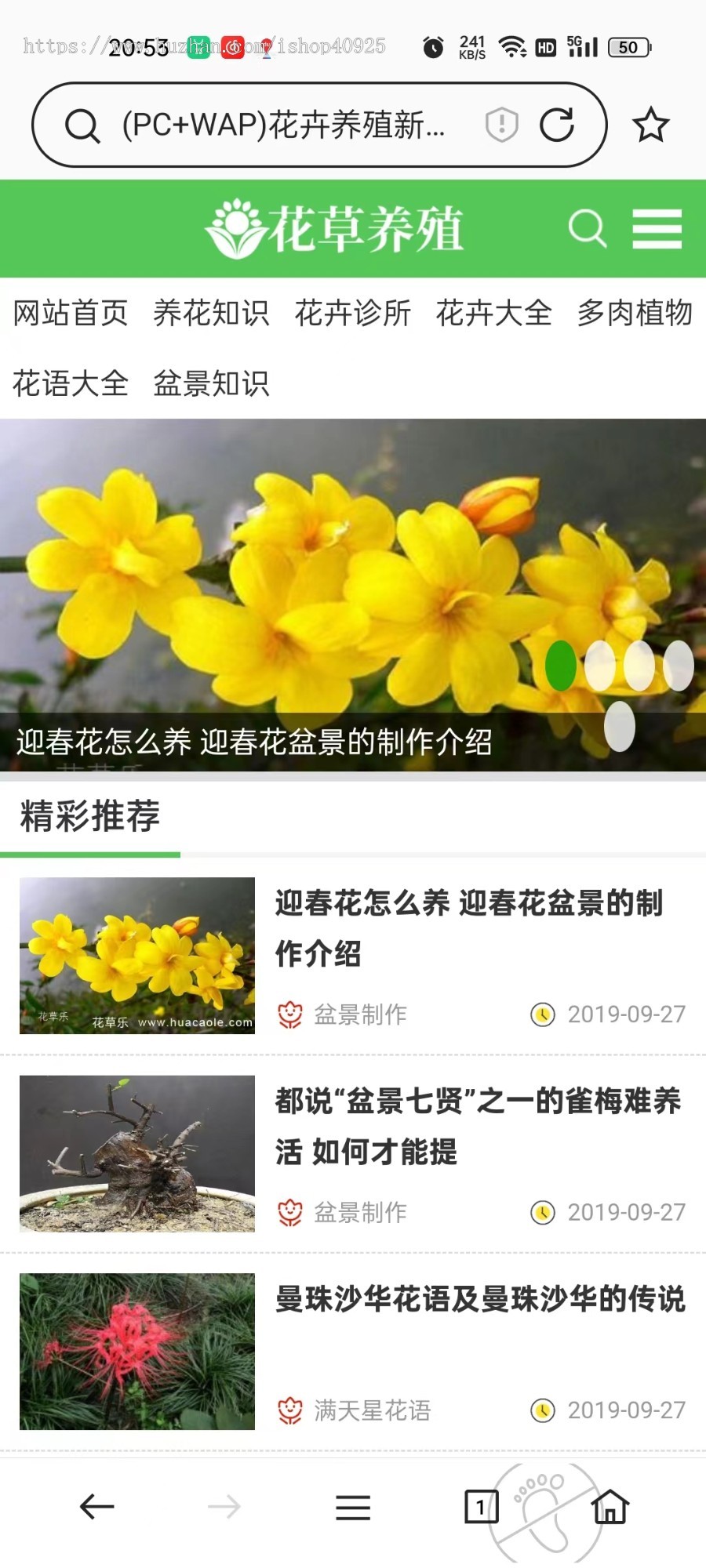 新闻资讯文章花草植物网站源码花卉养殖养花知识分享网站养殖技巧养殖知识植物资讯网站