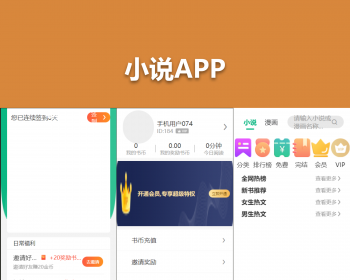 小说APP小程序源码