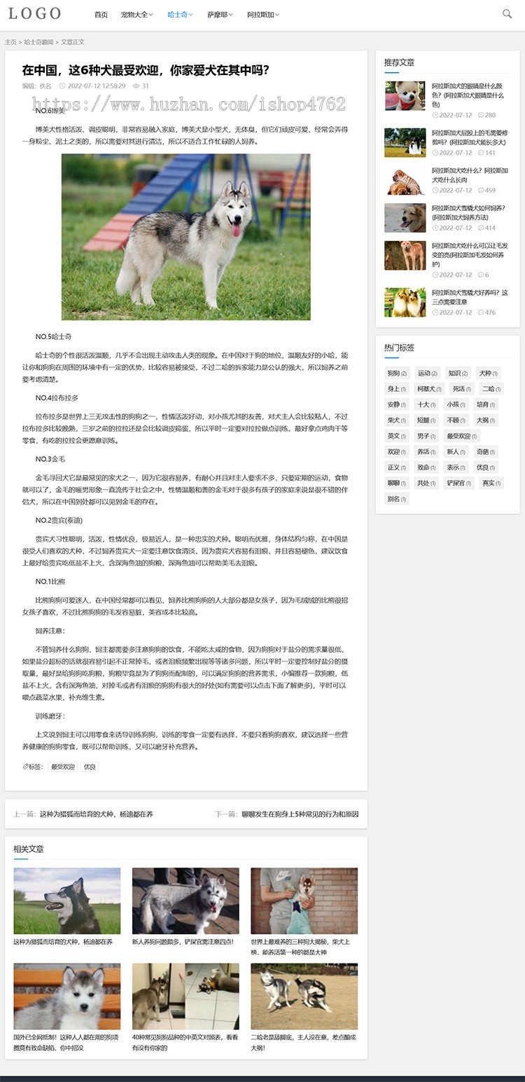 宠物网源码模板宠物资讯喂养训练百科趣事html5自适应