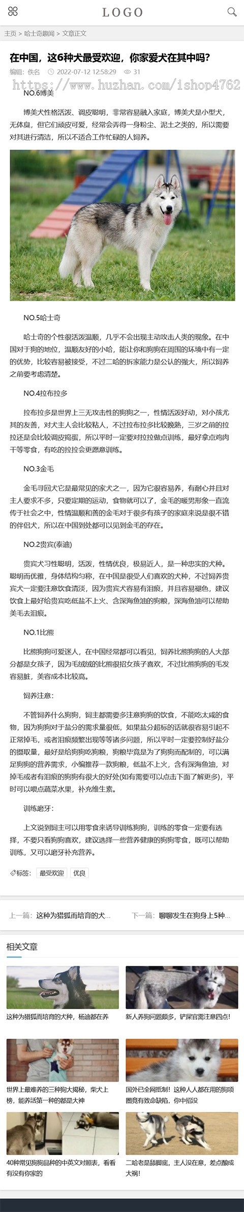 宠物网源码模板宠物资讯喂养训练百科趣事html5自适应