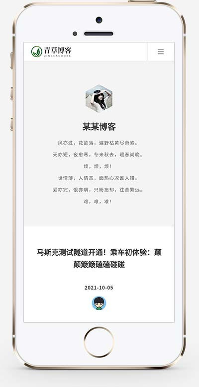 【官方正品授权】响应式极简个人博客自媒体类pbootcms模板 文章博客类网站源码下载