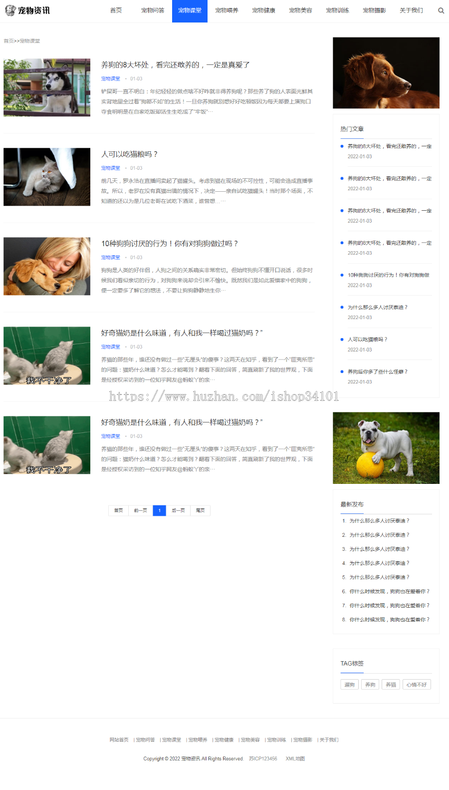 （自适应手机端）响应式宠物资讯类pbootcms网站模板 宠物博客经验网站源码
