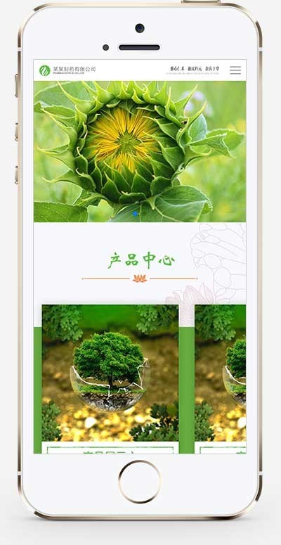 【2022升级版】响应式通用医药制药类企业网站官网网站建设官网/网络建站/企业建站官网