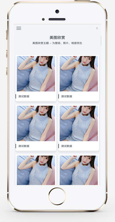 推荐 (自适应手机端) 图片相册图集网站模板 美女相册家庭相集类网站源码