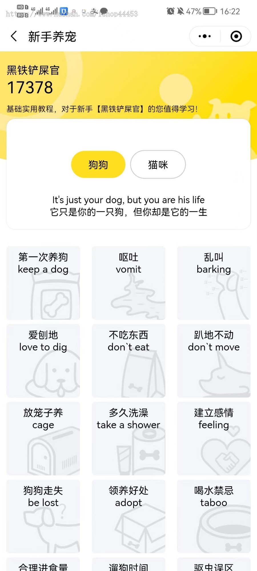 宠物之家系统宠物社区小程序|宠物领养|宠物走失|寻宠信息二开搭建