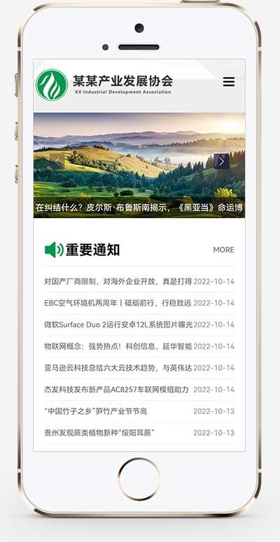 政府协会网站源码产业发展协会网站模板政府单位机构工会机构网站源码事业单位公司官网