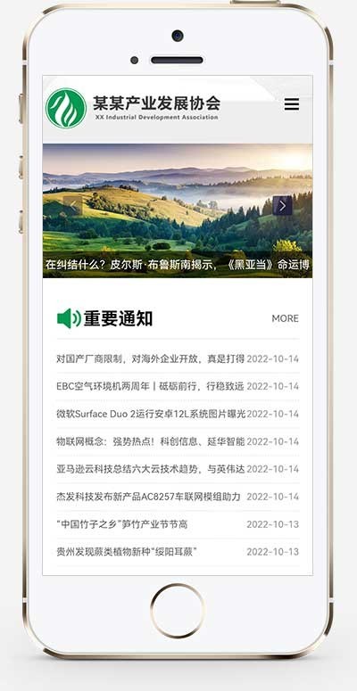 【2022在线升级版】响应式文章博客类网站源码下载