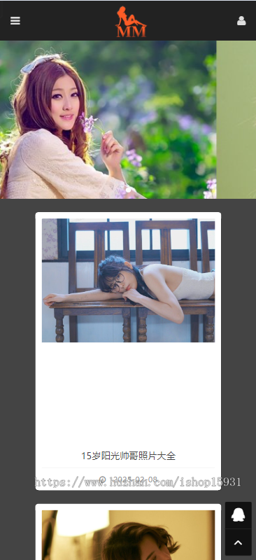 【开源】PHP精品轻量级图片站群系统开源版,绿茶图片泛目录站群系统程序,支持二开