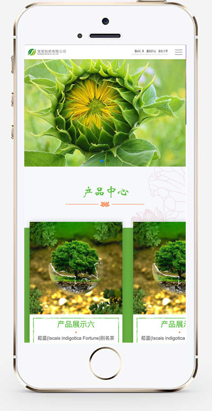 推荐(自适应手机端) 医药制药企业网站模板 HTML5农业药林类网站源码