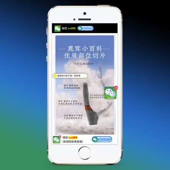 （独立手机版）落地页单页pbootcms模板 营销推广落地页网站源码下载