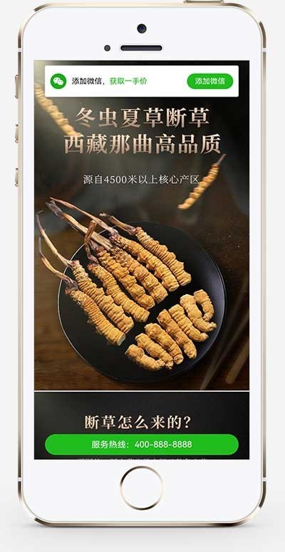 (独立手机版)营销推广落地页pbootcms模板 落地页单页网站源码下载