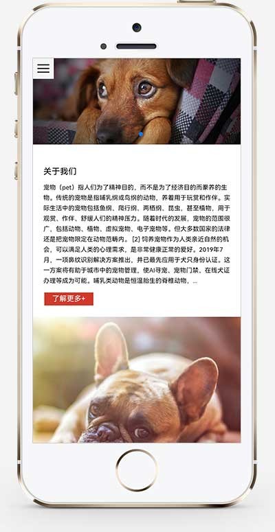 猫粮狗粮宠物粮食网站 宠物零食网站源码pbootcms模板（自适应手机端）