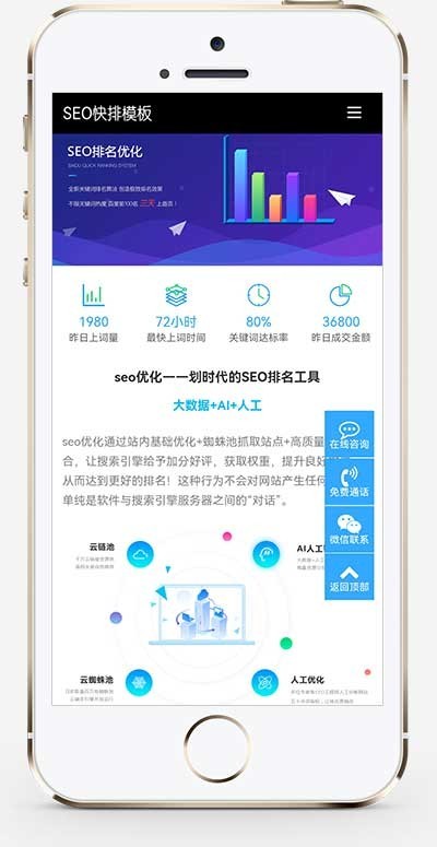 (自适应移动端)seo快排网站pbootcms模板 大气的IT网络软件公司网站源码
