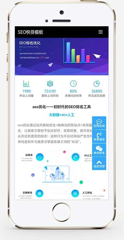 (自适应移动端)seo快排网站pbootcms模板 大气的IT网络软件公司网站源码