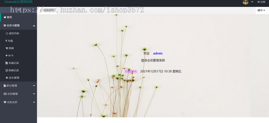 java web ssm springboot vue jsp 电影院会员管理信息系统 源码