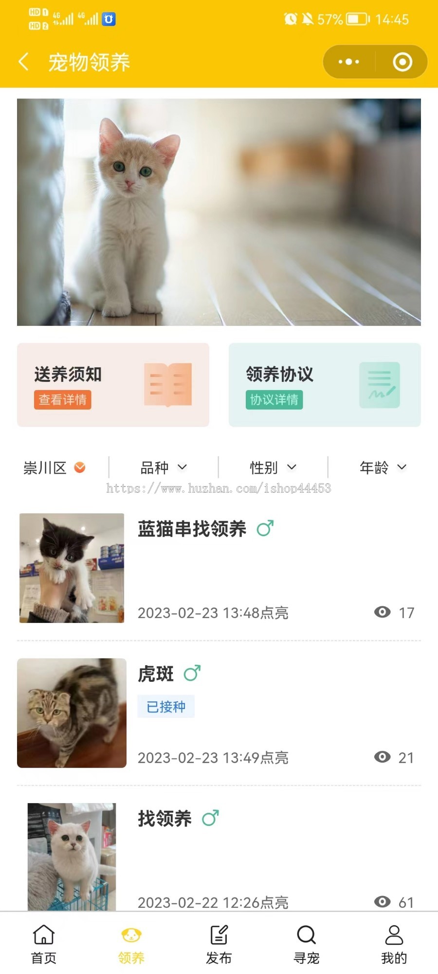 宠物领养小程序源码 宠物领养寻宠信息发布平台系统定制 宠物送养领养小程序开发