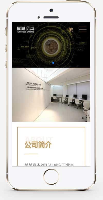 （自适应手机端）简繁双语响应式HTML5通用金融资本咨询网站单页pbootcms模板