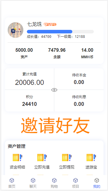 uniapp理财返利资金海外项目数字藏品盲盒新能源航海,提供一对一定制服务