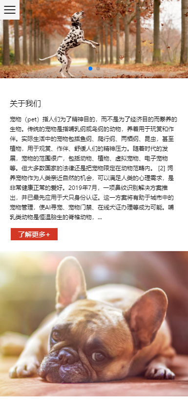 网站源码PHP模板宠物零食网站源码pbootcms模板 自适应手机端