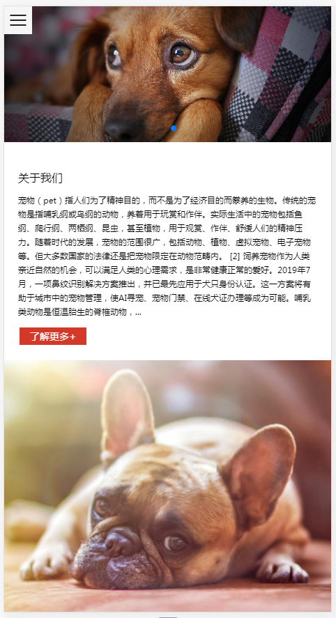 (自适应手机端)猫粮狗粮宠物粮食网站pbootcms模板 宠物零食网站源码