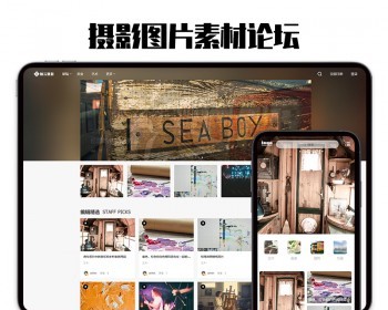 php论坛建站源码dz网站模板图片摄影交流社区带手机端简约建设