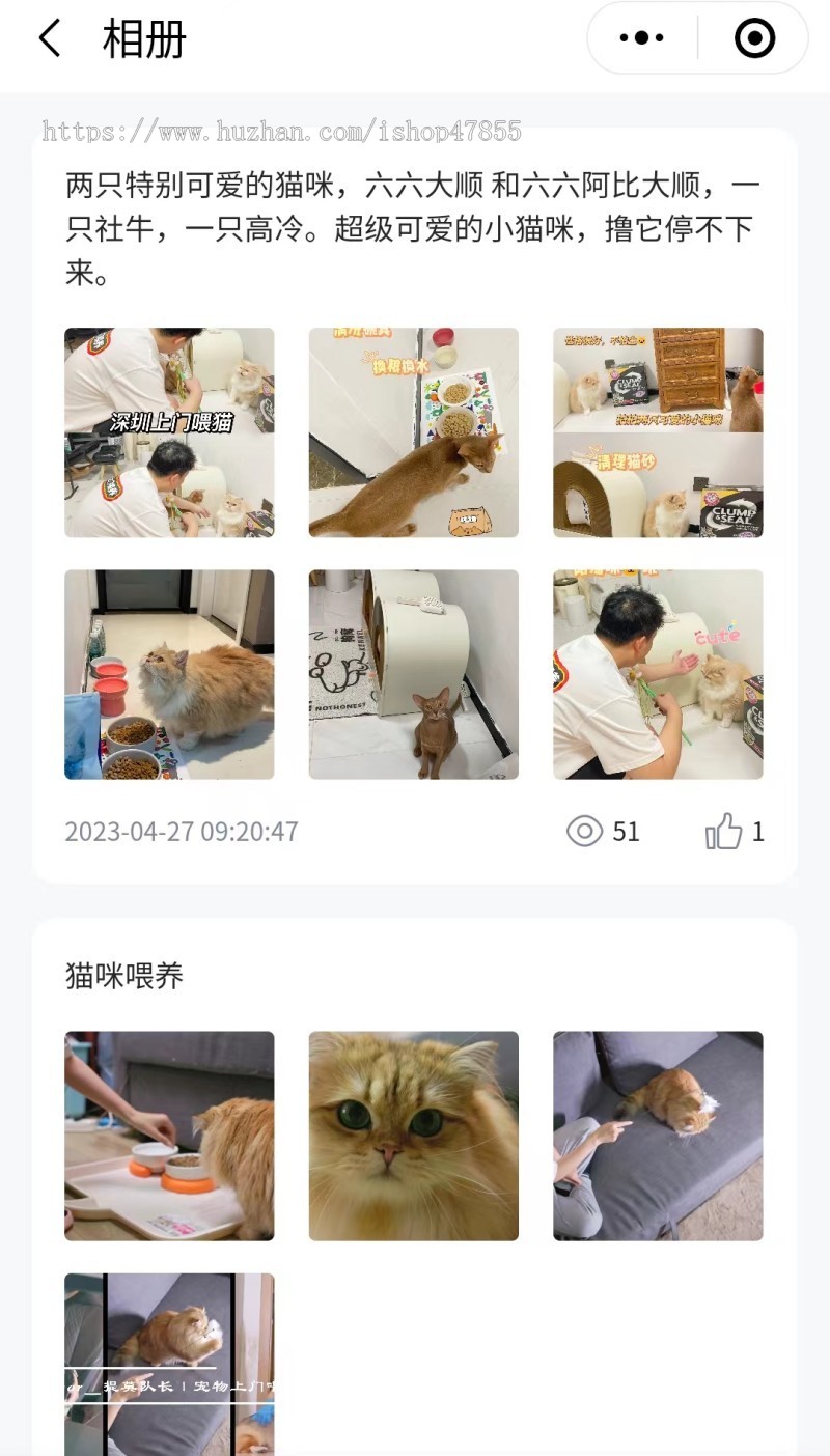 宠物预约上门服务小程序 宠托师上门服务小程序 宠物预约服务小程序 上门服务小程序