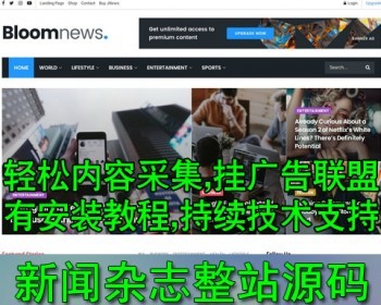 英文博客模板 运营谷歌新闻杂志广告 综合门户网站WP主题 附送电脑采集软件