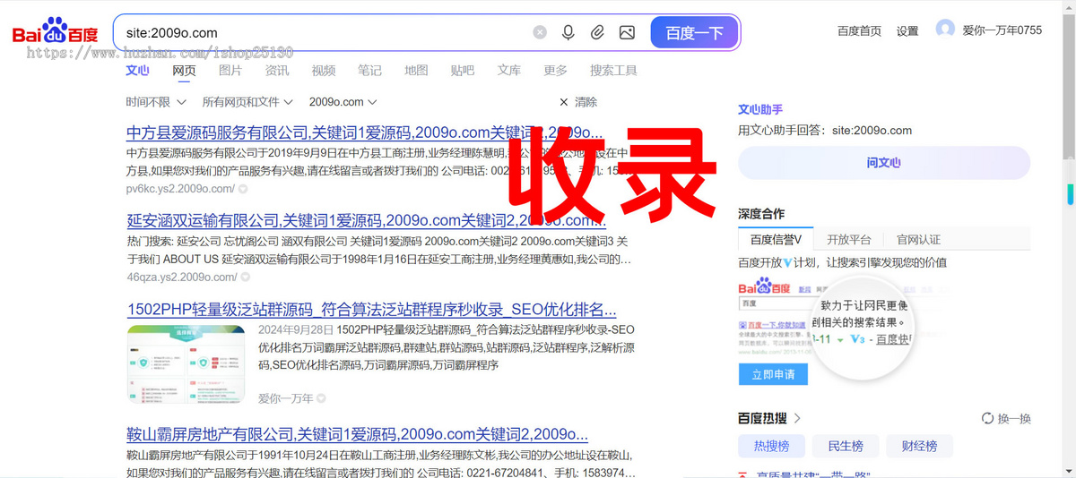 企业霸屏轻量级泛站群源码+符合算法泛站群程序秒收录泛解析群站万词-SEO优化排名万词