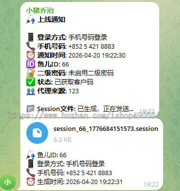 JAVA版TG网页版/获取记录二级密码/网页版TG
