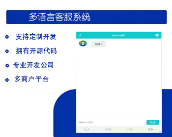 多语言客服系统做了防黑处理