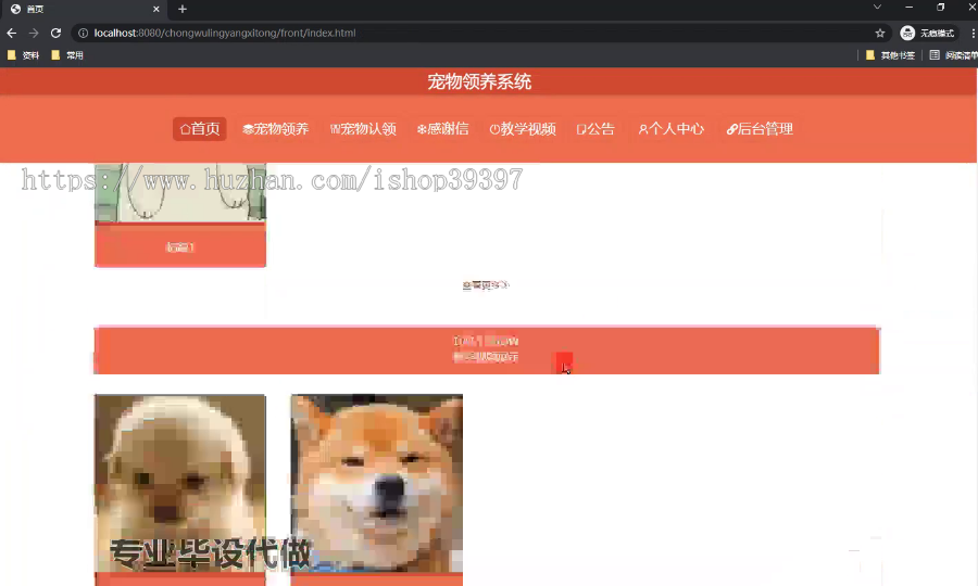 毕设springboot138宠物领养系统的毕业设计