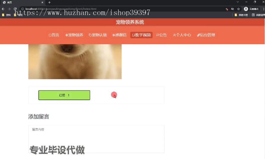 毕设springboot138宠物领养系统的毕业设计
