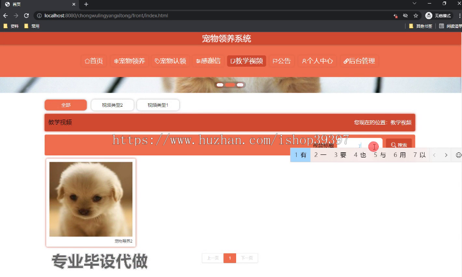 毕设springboot138宠物领养系统的毕业设计