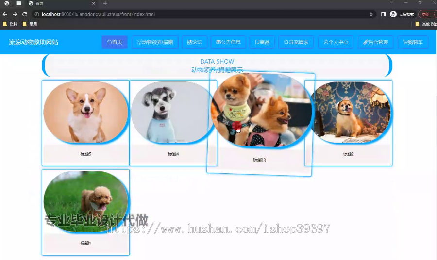 毕设springboot258流浪动物救助网站毕业设计