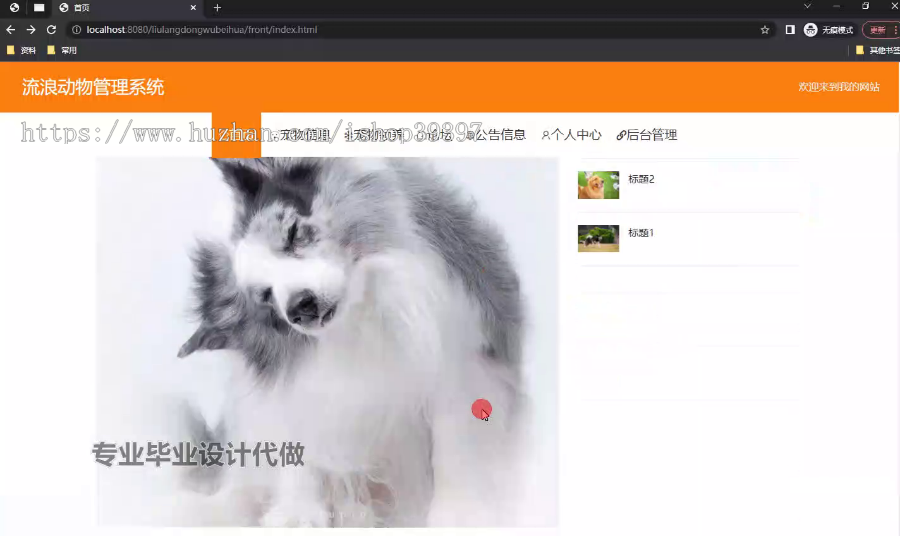 毕设springboot277流浪动物管理系统毕业设计