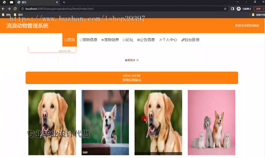 毕设springboot277流浪动物管理系统毕业设计