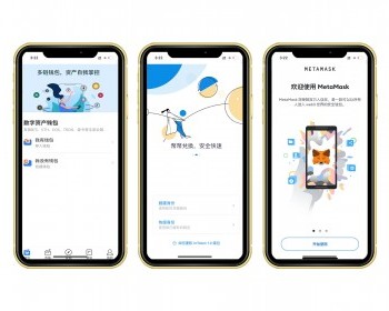 高仿钱包/IM/TP/小狐狸/BTP钱包/获取助记词/获取私钥/自动归集