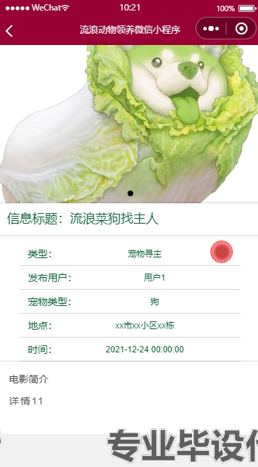 毕设weixin251流浪动物救助微信小程序springboot毕业设计