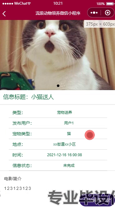 毕设weixin251流浪动物救助微信小程序springboot毕业设计