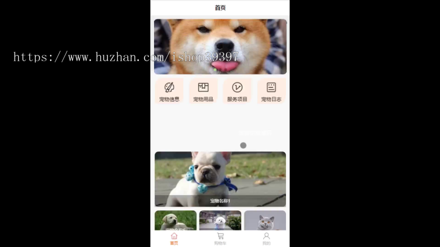 毕设weixin282宠物店商城小程序+ssm毕业设计