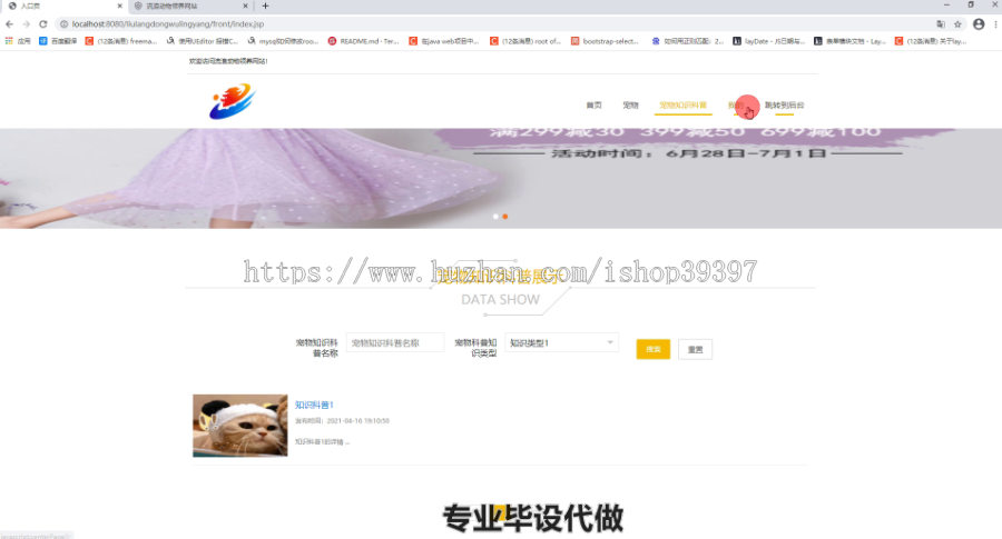 毕设ssm232流浪动物领养信息系统设计毕业设计