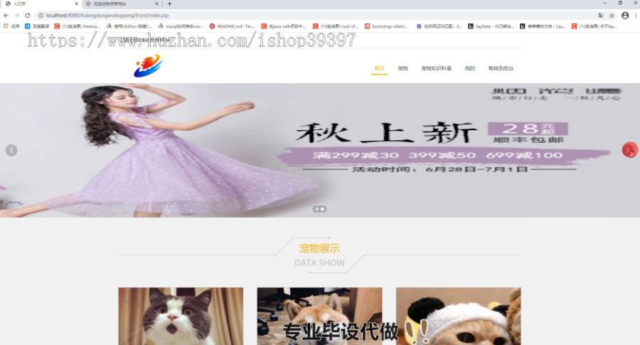 毕设ssm232流浪动物领养信息系统设计毕业设计