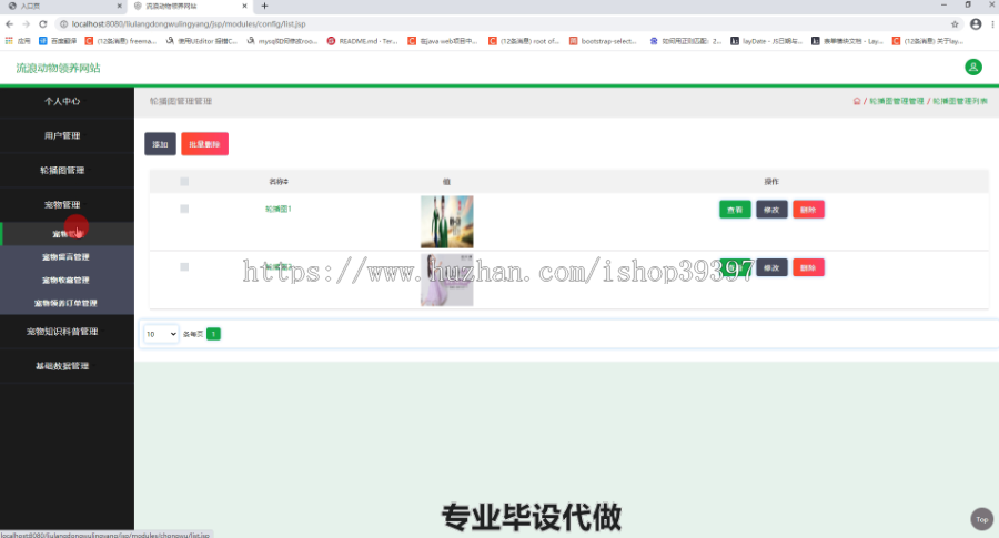 毕设ssm232流浪动物领养信息系统设计毕业设计
