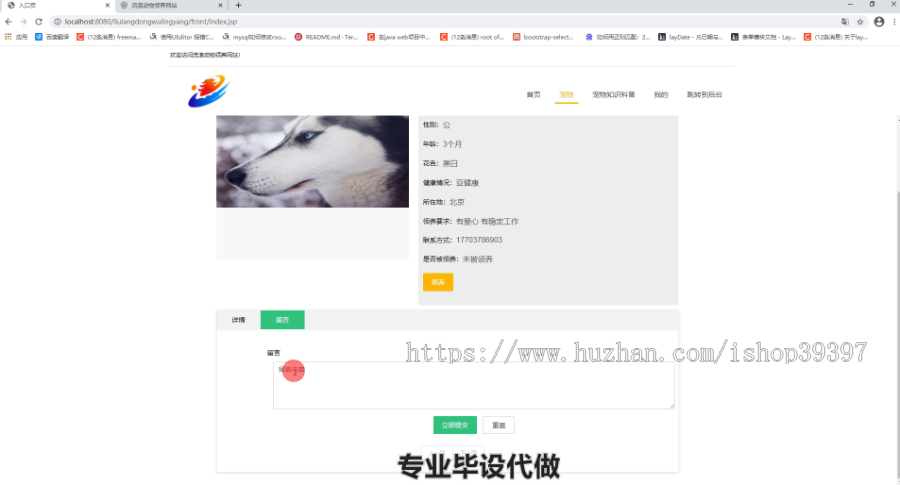 毕设ssm232流浪动物领养信息系统设计毕业设计