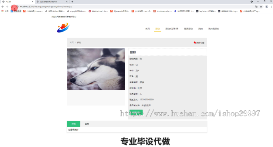 毕设ssm268流浪动物领养系统网站毕业设计
