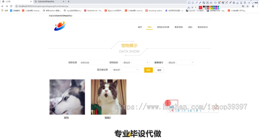 毕设ssm268流浪动物领养系统网站毕业设计