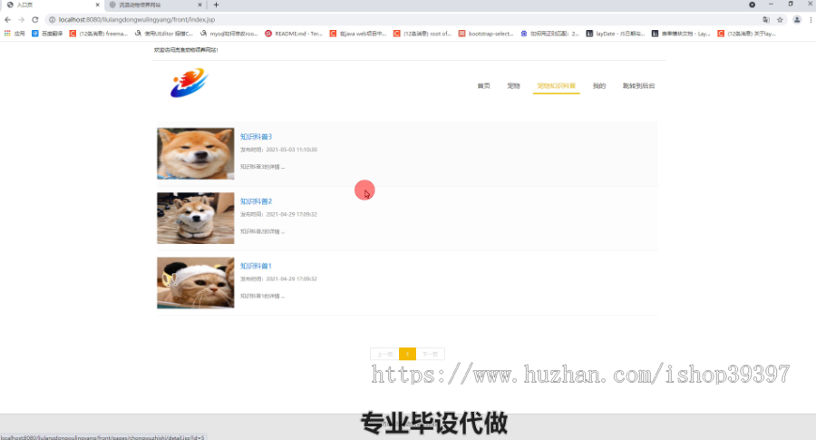 毕设ssm332基于ssm框架的流浪宠物领养系统毕业设计